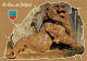 90 BELFORT  Le LION 17 (scan Recto Verso)MF2758VIC - Belfort – Le Lion