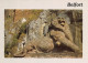 90 BELFORT  Le LION  22 (scan Recto Verso)MF2758VIC - Belfort – Le Lion