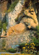 90 BELFORT  Le LION   29 (scan Recto Verso)MF2758VIC - Belfort – Le Lion