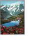 LES ALPES PITTORESQUE 05 - Le Printemps En Haute Altitude Le Lac LAUZON 1965 - Sonstige & Ohne Zuordnung