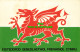 R581865 Eisteddfod Genedlaethol Frenhinol Cymru. Photo Precision - Welt