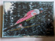 CP - Saut à Ski Jérôme Gay équipe De France 1995 Rossignol - Sports D'hiver