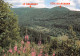 88  BUSANG  Panorama Sur Le Drumont Et La Tête Du Russier   59 (scan Recto Verso)MF2771TER - Bussang
