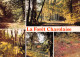 71  CHAROLLES La Foret Charolaises   53 (scan Recto Verso)MF2773TER - Charolles