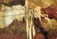 46  Grottes De LACAVE Les Pattes D'Araignée  23 (scan Recto Verso)MF2798VIC - Lacave