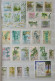 Delcampe - Collection De Timbres Sur Le Thème Des Arbres. - Collections (without Album)