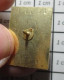 3617  Pin's Pins / Beau Et Rare / SPORTS / CIBLE DE FLECHETTES FINISH FLECHES - Altri & Non Classificati