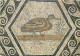 VAISON LA ROMAINE MUSEE ARCHEOLOGIQUE Canard 30(scan Recto Verso)ME2698 - Vaison La Romaine