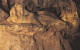 The Lion, Kents Cavern, Torquay- Devon - Unused Postcard - Dev1 - Torquay