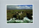 Phare De Bretagne : Le Phare De La Pointe Saint Mathieu Dans Le Finistère - Bretagne