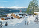 AK 216158 NORWAY - Ruten Fjellstue - Norway