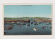 ENGLAND - Paignton Harbour  Unused Vintage Postcard - Paignton