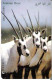 Jordan: Trans Jordan For Communication Services - 1998 Ostrich, Arabian Oryx - Jordan