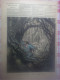 Le Petit Journal N°5 L'attente Tableau De Haag Evasion De Redon Dans La Forêt Vierge Guyane La Chansson Ernest Chebroux - Riviste - Ante 1900