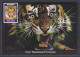Bangladesh 2009 Stamp Exhibition, Tiger, Tigers, Wildlife, Wild Life, Animal, Animal, Postcard - Bangladesh