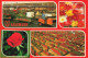 PAYS-BAS - Aalsmeer - Cutflower Section United Flower Markets Aalsmeer - Multi-vues - Fleurs - Animé - Carte Postale - Aalsmeer