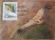 ISRAEL 2013 VULTURE GYPS FULVUS PALPHOT MAXIMUM CARD STAMP FIRST DAY OF ISSUE POSTCARD CARTE POSTALE POSTKARTE CARTOLINA - Cartoline Maximum