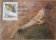 ISRAEL 2013 VULTURE GYPS FULVUS PALPHOT MAXIMUM CARD STAMP FIRST DAY OF ISSUE POSTCARD CARTE POSTALE POSTKARTE CARTOLINA - Maximumkaarten