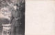 CARTE PHOTO SOLDATS ALLEMANDS DEUTSCHEN SOLDATEN GUERRE 14/18 WW1 J35 - War 1914-18