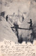 74 - Alpinisme - Glacier Des Bossons - Mountaineering, Alpinism