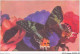 AJXP10-0996 - ANIMAUX - Papillon Aux Anemones - Farfalle