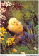 AJXP10-0985 - ANIMAUX - Joyeuses - Paques - Vogels
