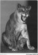AJXP9-0966 - ANIMAUX - Une Lionne Et Son Petit - Leeuwen