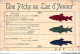 AJXP9-0897 - ANIMAUX - Une Peche Au Lac D'amour - Fish & Shellfish