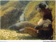 AJXP10-1019 - ANIMAUX - MUSEE OCEANOGRAPHIQUE DE MONACO - MURENES - Fische Und Schaltiere