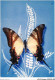 AJXP10-1003 - ANIMAUX - PAPILLONS EXOTIQUES - Papilio Hippodamus - Butterflies