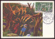 Monaco, Carte-max Du 26 Avril 1969 à Monaco " Forêts Et Cavernes " - Cartes-Maximum (CM)