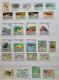 Collection De Timbres Sur Le Thème Des Grenouilles,  Des Serpents,  Des Crocodiles Etc.... - Collections (sans Albums)