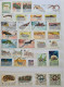 Delcampe - Collection De Timbres Sur Le Thème Des Grenouilles,  Des Serpents,  Des Crocodiles Etc.... - Collections (sans Albums)