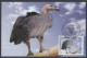 Bangladesh 2012 Postcard Endangered Animals, White Rumped Vulture, Bird, Birds - Bangladesh