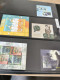 Delcampe - Former Jugoslawia MNH Blocks ** - Collections (with Albums)