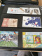 Delcampe - Former Jugoslawia MNH Blocks ** - Collections (with Albums)