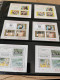 Delcampe - Former Jugoslawia MNH Blocks ** - Collections (with Albums)