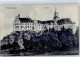 51485906 - Sigmaringen - Sigmaringen