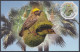 Bangladesh 2012 Postcard Baya Weaver, Bird, Birds - Bangladesch