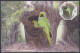 Bangladesh 2012 Postcard Rose-ringed Parakeet, Parrot, Bird, Birds, Odd-shape - Bangladesch
