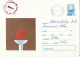 ROMANIA 1972 THE FLAME OF THE MUNICH 72 OLYMPIC GAMES, CIRCULATED ENVELOPE, COVER STATIONERY - Postwaardestukken