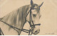 EQUITATION #AS36689 PORTRAIT DE CHEVAL HIPPISME - Horse Show