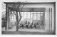 92 SURESNES #MK33648 ECOLE DE PLEIN AIR PERMANENTE UNE CLASSE OUVERTE - Suresnes