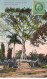 CUBA #MK34218 ARBOL DE LA PAZ SANTIAGO DE CUBA PEACE TREE SAN JUAN ARBRE TREE - Kuba