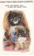 CHIEN CHIOT PEKINOIS #FG35021 DOG PORTRAIT AVEC TOUS MES COMPLIMENTS PAR VALTER - Perros