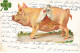 COCHONS #MK41588 COCHON SAC DE PIECES OR TREFLE - Schweine