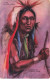 INDIENS #MK41849 CHIEF YELLOW HAWK ARC - Native Americans