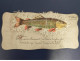 POISSONS #FG45607 POISSON FISH CHARMANT CELLULOID 1 ER AVRIL AJOUTIS SUPERBE - Poissons Et Crustacés