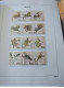 Delcampe - RUSSIE ANNEES COMPLETES 2004 A 2009 + BLOCS EN NEUF AVEC ALBUM DAVO - Unused Stamps