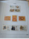 Delcampe - RUSSIE ANNEES COMPLETES 2004 A 2009 + BLOCS EN NEUF AVEC ALBUM DAVO - Unused Stamps